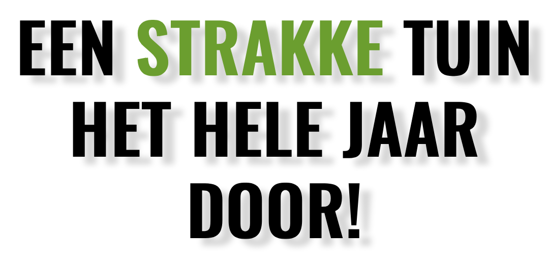 Een strakke tuin het hele jaar door!